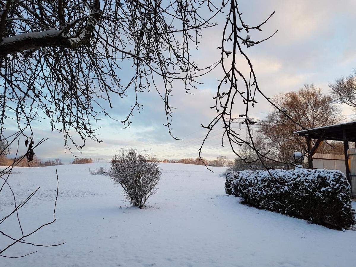 Landpension Zum Schweizerberg Neugrimnitz Eksteriør bilde