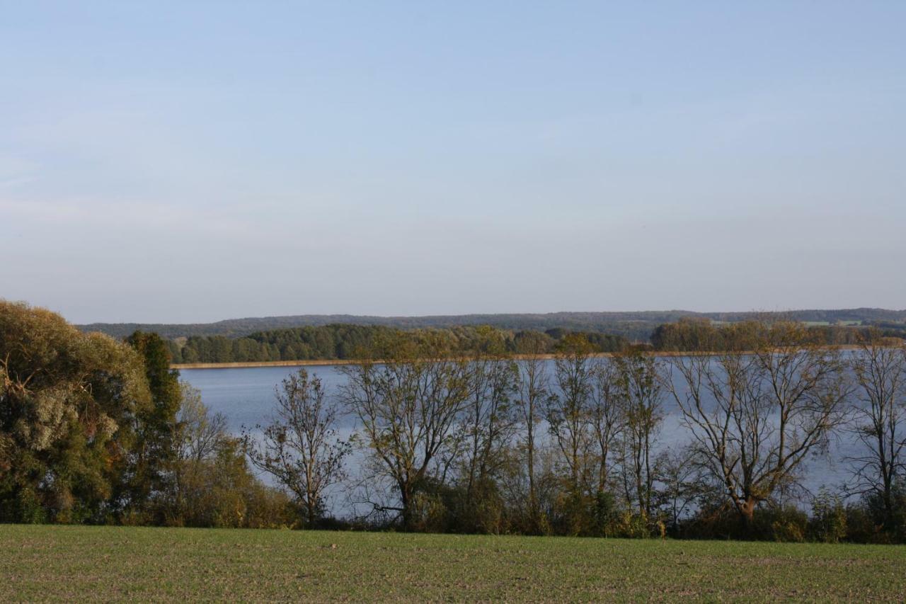 Landpension Zum Schweizerberg Neugrimnitz Eksteriør bilde