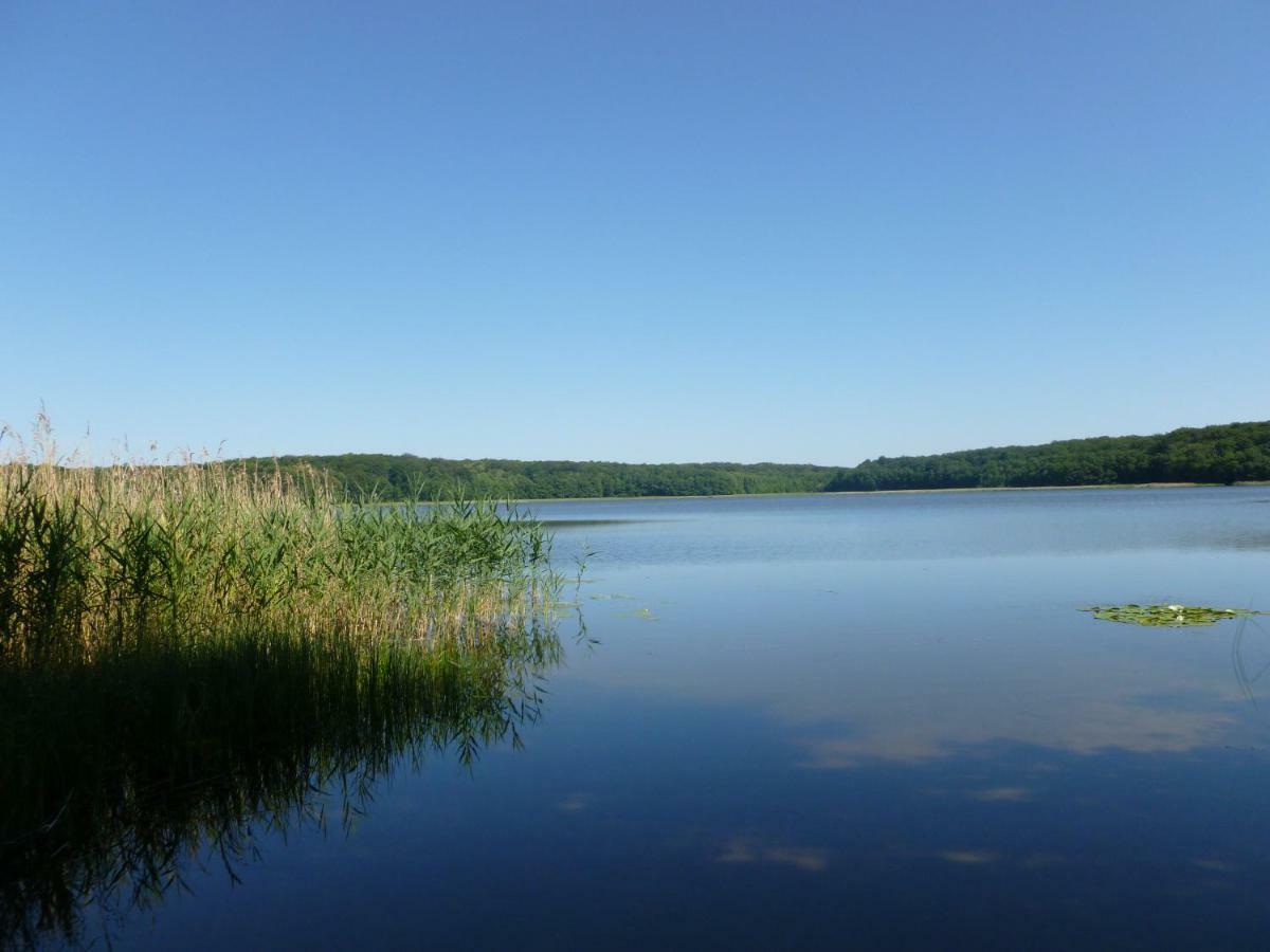 Landpension Zum Schweizerberg Neugrimnitz Eksteriør bilde