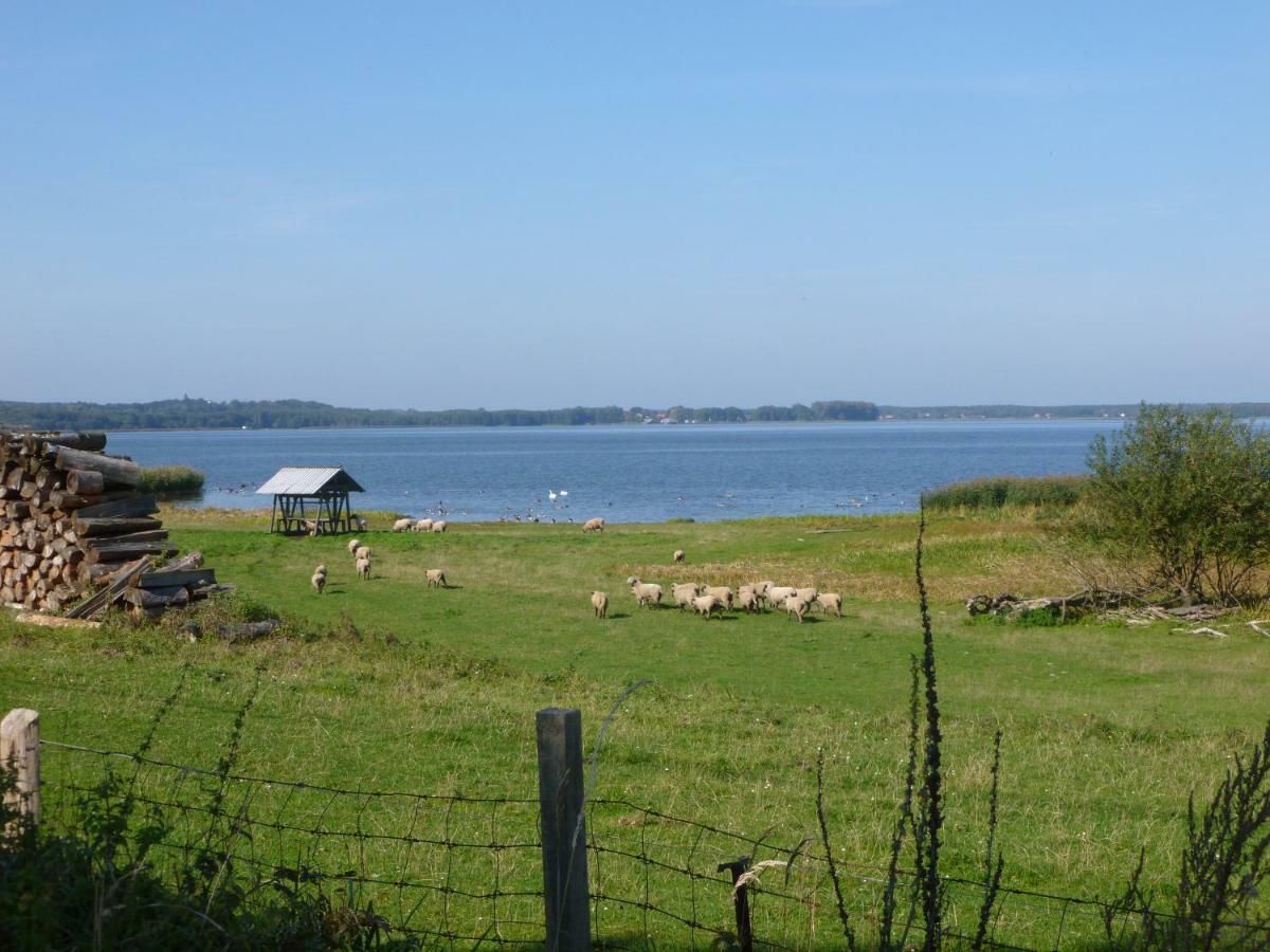 Landpension Zum Schweizerberg Neugrimnitz Eksteriør bilde